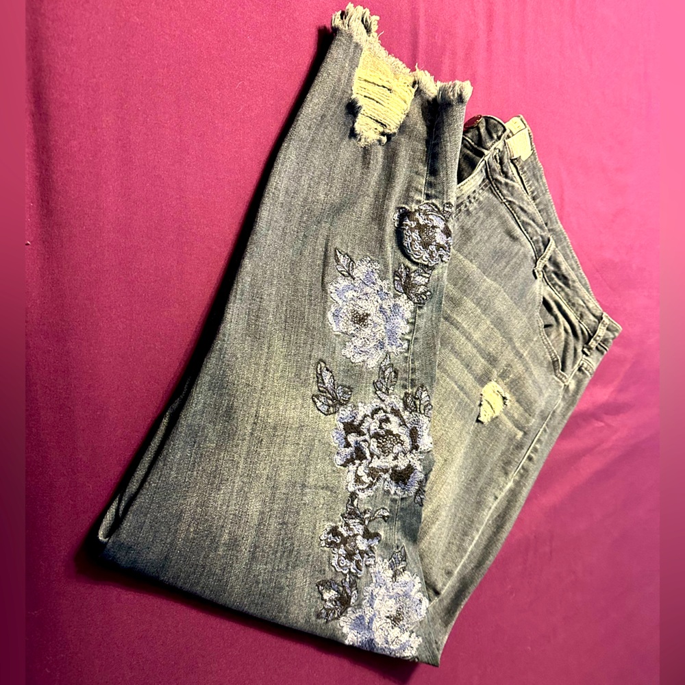 Lane Bryant Jeans, size 26